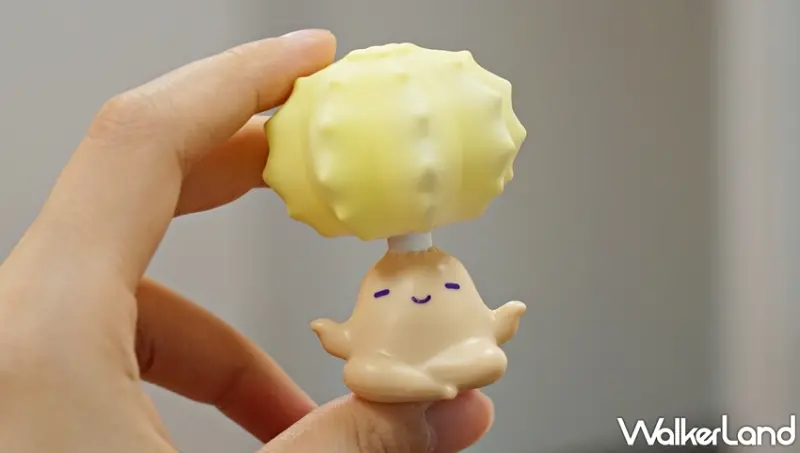 肉肉星人 / WalkerLand窩客島提供 未經許可，不得轉載