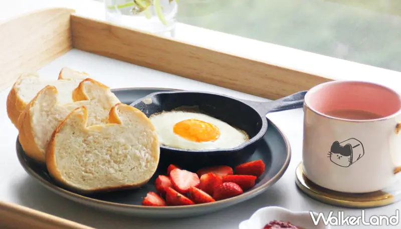 貓咪吐司 / WalkerLand窩客島提供 未經許可，不得轉載