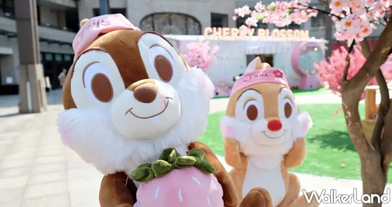 HOLAx迪士尼櫻花季 / WalkerLand窩客島整理提供 未經許可不可轉載