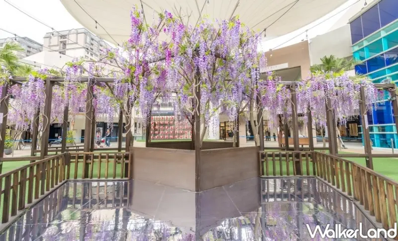 林口三井OUTLET「紫藤花」 / WalkerLand窩客島整理提供 未經許可不可轉載