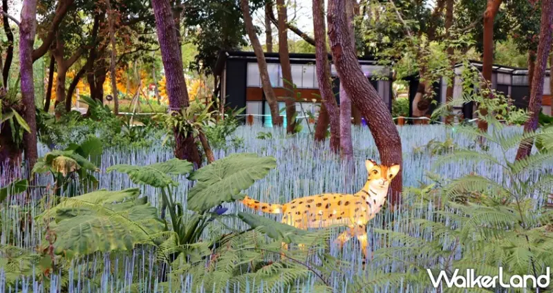 2020台灣燈會 / WalkerLand窩客島提供 未經許可，不得轉載