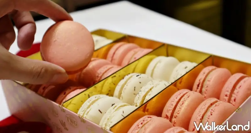 TWG Tea / WalkerLand窩客島提供 未經許可，不得轉載