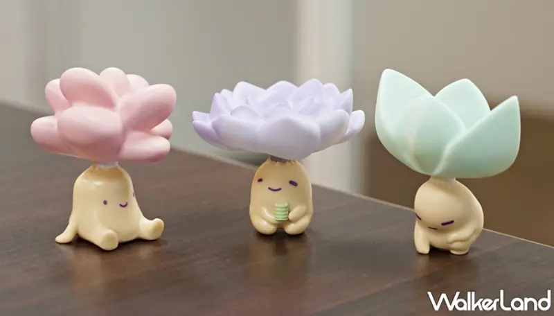 肉肉星人 / WalkerLand窩客島提供 未經許可，不得轉載