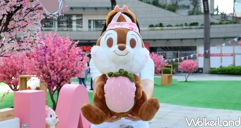 HOLAx迪士尼櫻花季 / WalkerLand窩客島整理提供 未經許可不可轉載