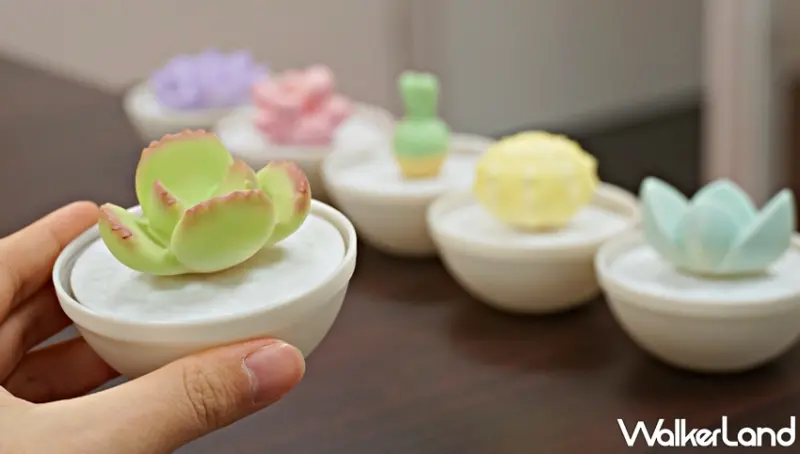 肉肉星人 / WalkerLand窩客島提供 未經許可，不得轉載