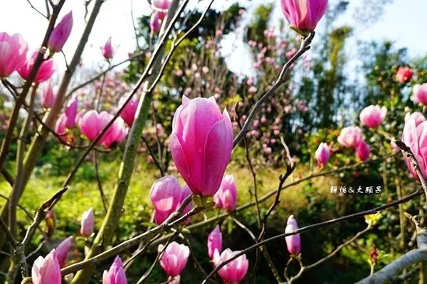 窩客 靜怡 提供 未經許可，不得轉載