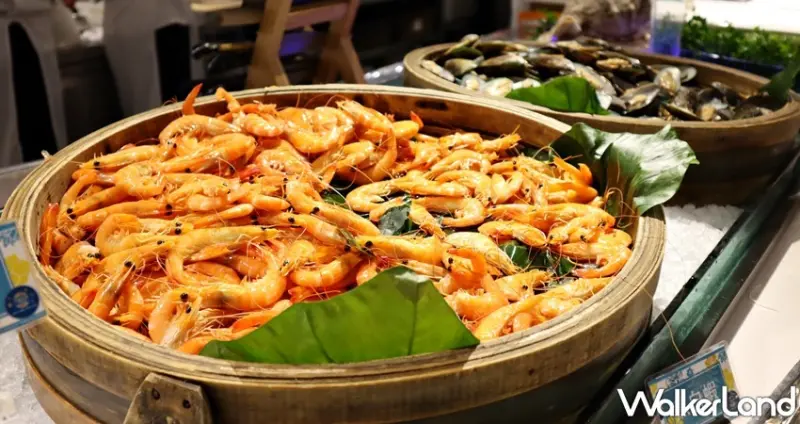 新莊人吃到飽開動！天賜百匯期間限定「吃到飽66折」正式開吃，身份證對中「2、3、8」任2碼就享吃到飽66折、壽星再衝590超高CP值吃到飽。