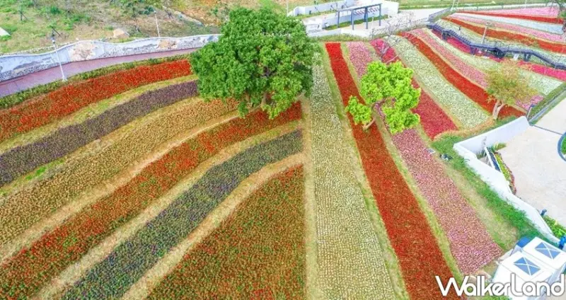 「北投社三層崎花海」 / WalkerLand窩客島整理提供 未經許可不可轉載