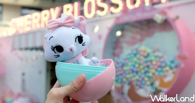 迪士尼櫻花季快閃店 / WalkerLand窩客島整理提供 未經許可不可轉載
