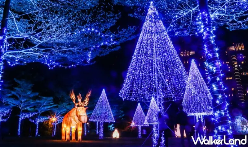 2020台灣燈會 / WalkerLand窩客島提供 未經許可，不得轉載