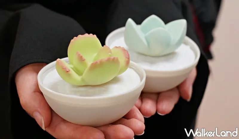 肉肉星人 / WalkerLand窩客島提供 未經許可，不得轉載