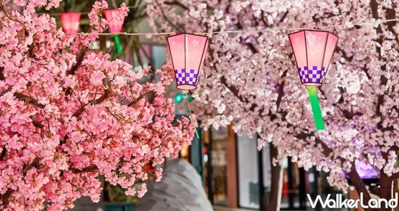 林口三井OUTLET「紫藤花」 / WalkerLand窩客島整理提供 未經許可不可轉載