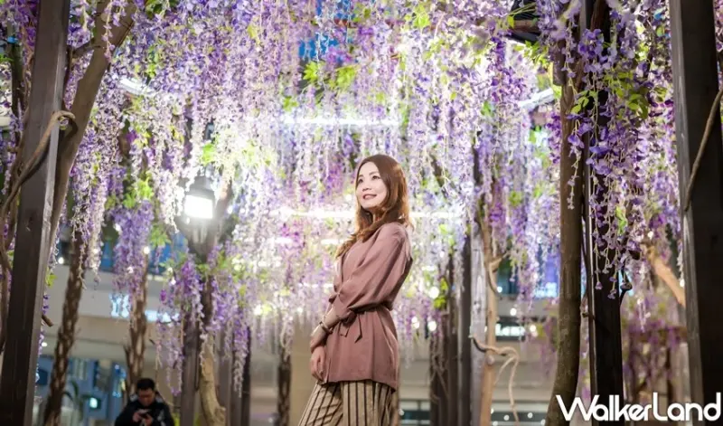 林口三井OUTLET「紫藤花」 / WalkerLand窩客島整理提供 未經許可不可轉載