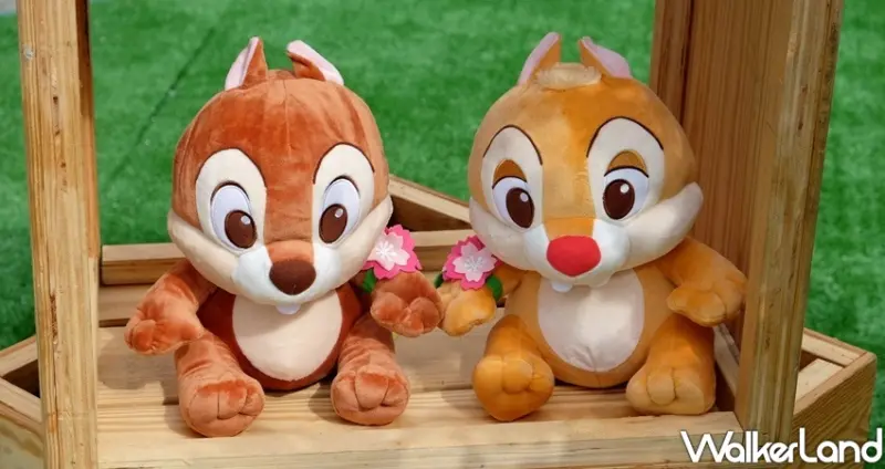 迪士尼櫻花季快閃店 / WalkerLand窩客島整理提供 未經許可不可轉載