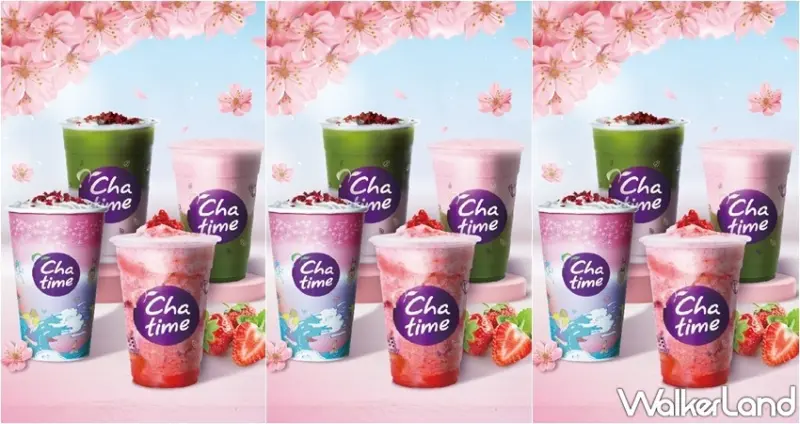 日出茶太櫻花季 / WalkerLand窩客島整理提供 未經許可，不得轉載