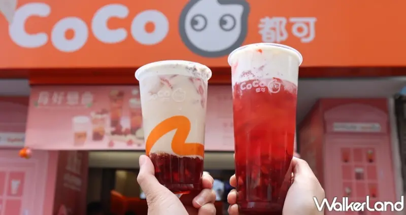 CoCo X Kit Kat莓果戀人 / WalkerLand窩客島提供 未經許可，不得轉載
