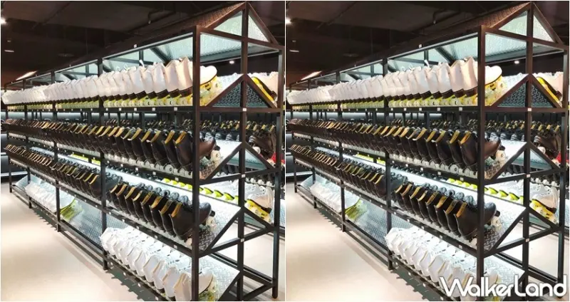 Roller186滑輪場 / WalkerLand窩客島整理提供 未經許可，不得轉載