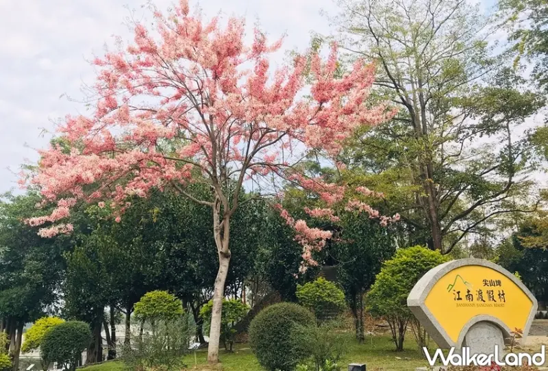 台南7條綠色隧道 / WalkerLand窩客島提供 未經許可，不得轉載