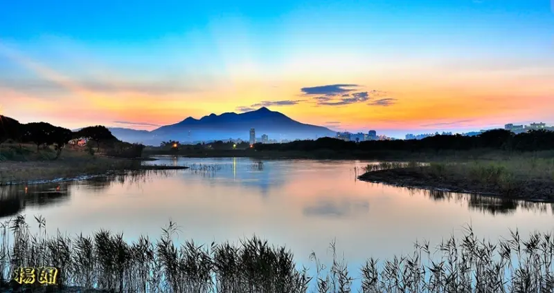 社子島濕地 / WalkerLand窩客島整理提供 未經許可不可轉載