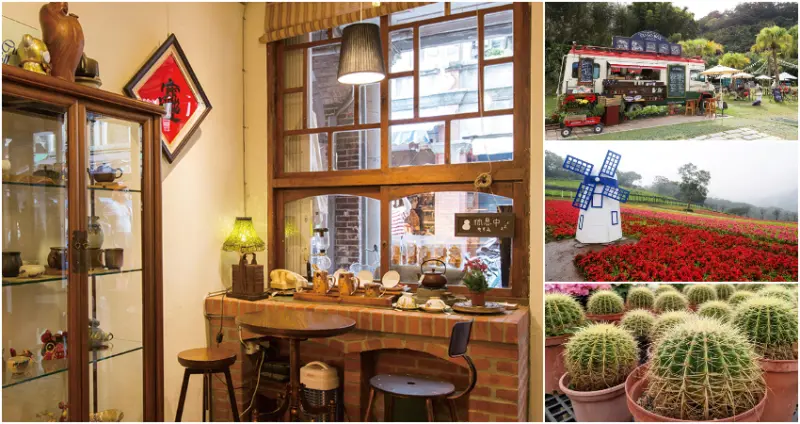 桃園大溪景點、石門水庫賞螢