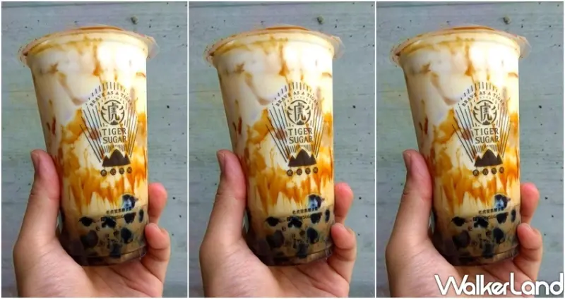 老虎堂芝士黑糖波霸鮮奶買一送一 / WalkerLand窩客島整理提供 未經許可不可轉載