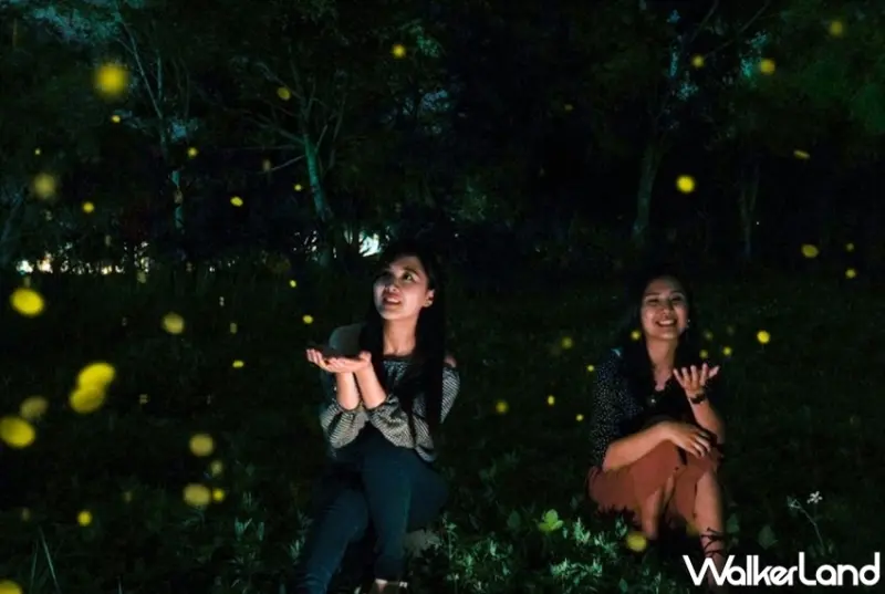 花蓮理想大地/ WalkerLand窩客島整理提供 未經許可，不得轉載