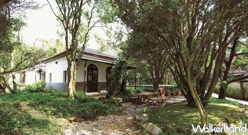 豆留市集－森林中的GOOD TASTE