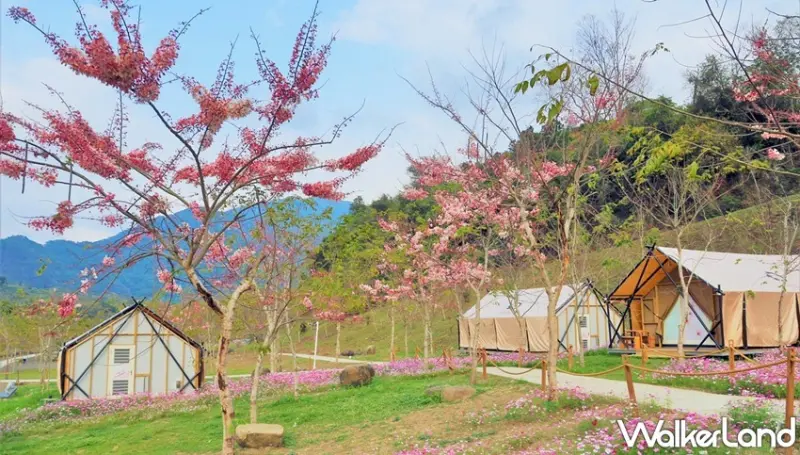 寶來花賞溫泉公園 / WalkerLand窩客島整理提供 未經許可，不得轉載