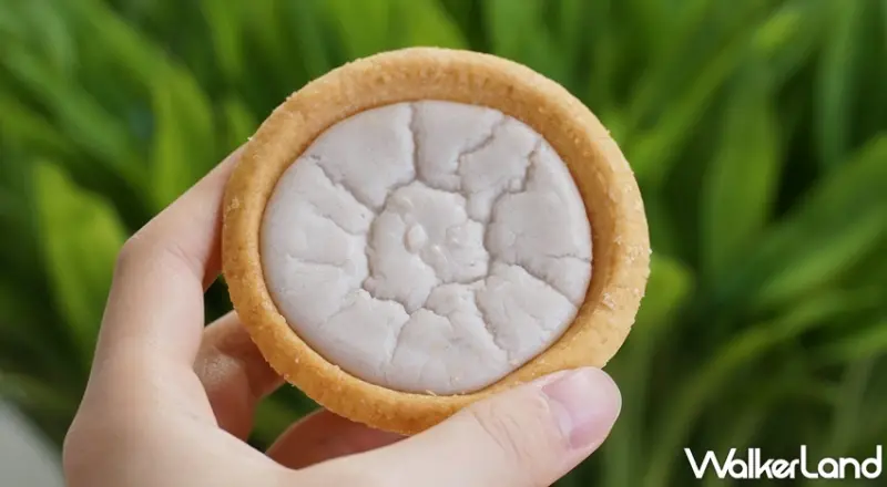 7-ELEVEN / WalkerLand窩客島提供 未經許可，不得轉載