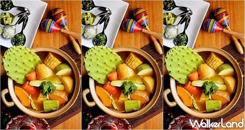 肉肉栽培研究所。多肉植物生態園區 / WalkerLand窩客島整理提供 未經許可，不得轉載