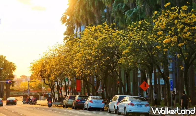 台南 / WalkerLand窩客島提供 未經許可，不得轉載