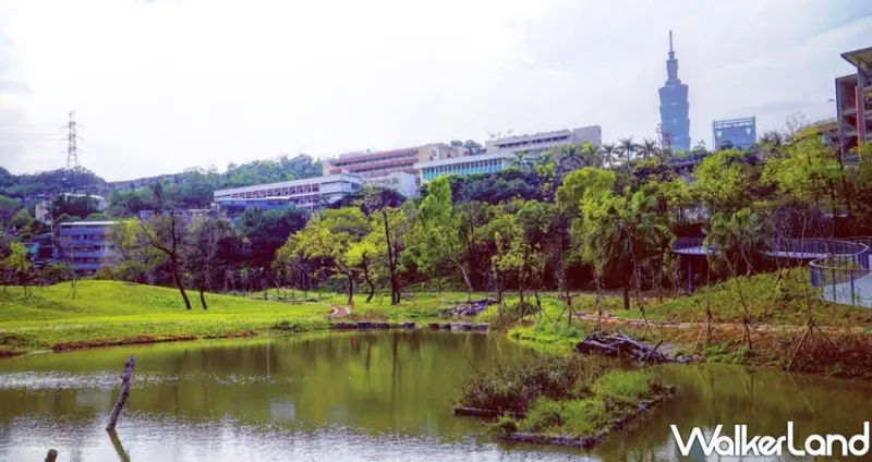 信義區「永春陂濕地公園」 / WalkerLand窩客島整理提供 未經許可不可轉載