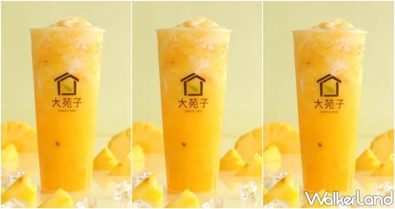 大苑子 / WalkerLand窩客島整理提供 未經許可，不得轉載