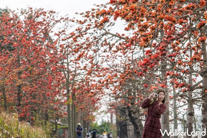 台南 / WalkerLand窩客島提供 未經許可，不得轉載