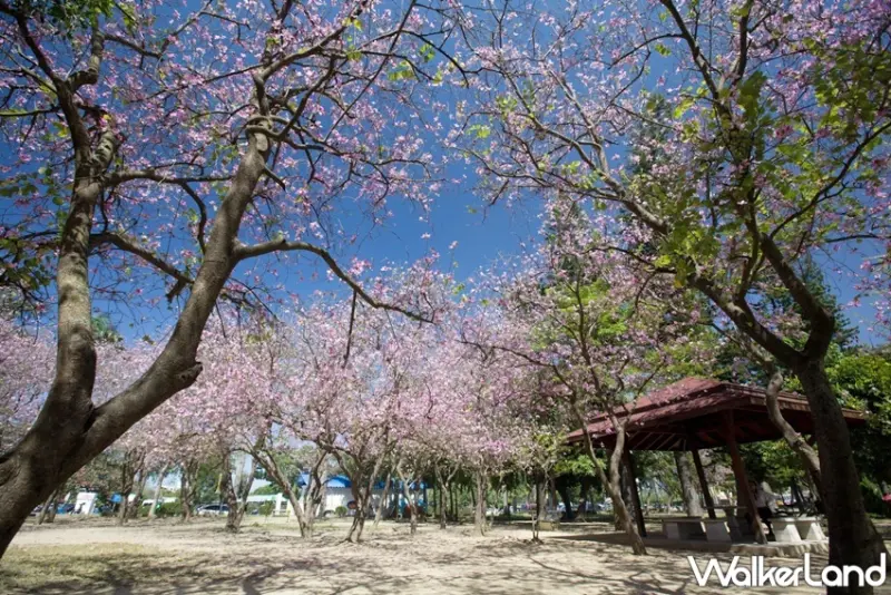 台南 / WalkerLand窩客島提供 未經許可，不得轉載