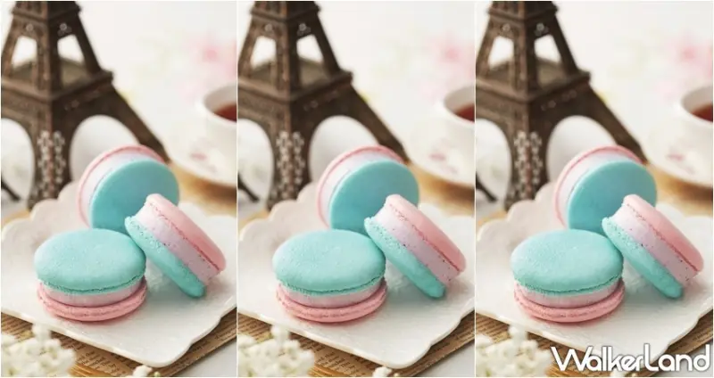 COLD STONE / WalkerLand窩客島整理提供 未經許可，不得轉載