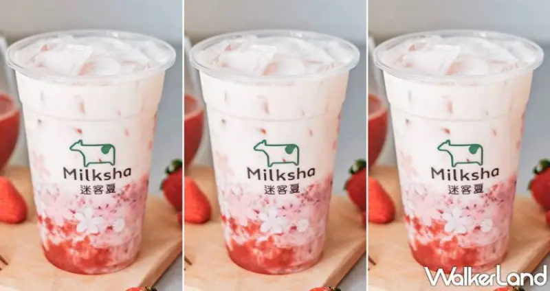 迷客夏 / WalkerLand窩客島提供 未經許可，不得轉載