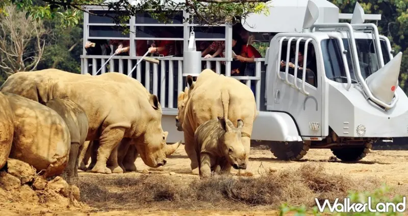 六福村 / WalkerLand窩客島整理提供 未經許可，不得轉載