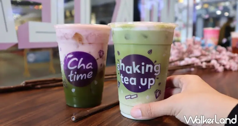 日出茶太櫻花季 / WalkerLand窩客島提供 未經許可，不得轉載