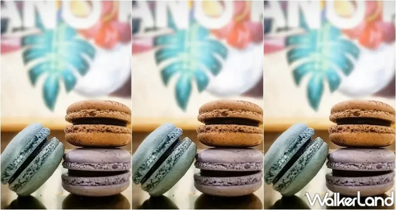 MANO MANO 板橋車站快閃店 / WalkerLand窩客島整理提供 未經許可，不得轉載