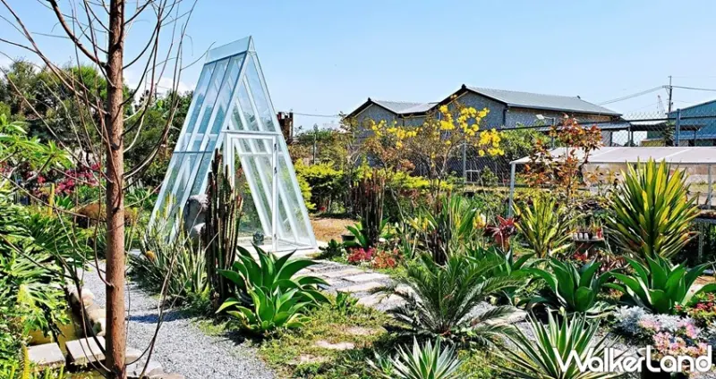 肉肉栽培研究所。多肉植物生態園區 / WalkerLand窩客島整理提供 未經許可，不得轉載