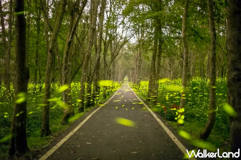 福容大飯店花蓮店