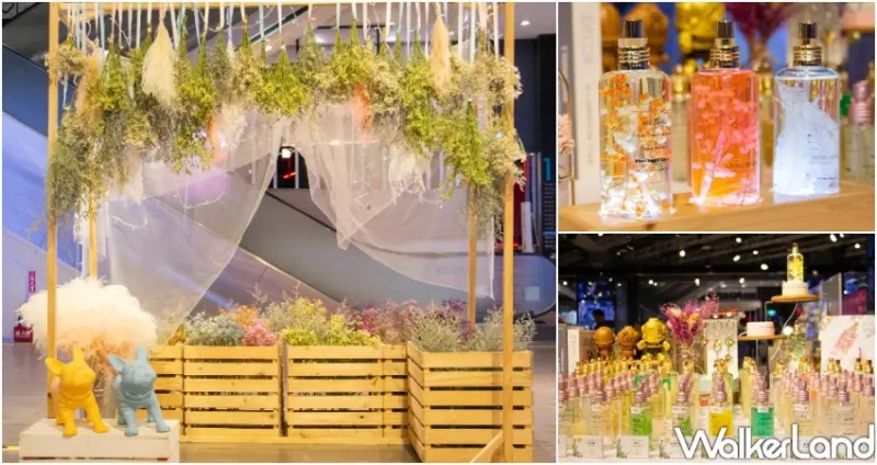 三創快閃店 / WalkerLand窩客島整理提供 未經許可不可轉載