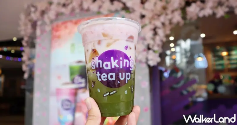 日出茶太櫻花季 / WalkerLand窩客島提供 未經許可，不得轉載