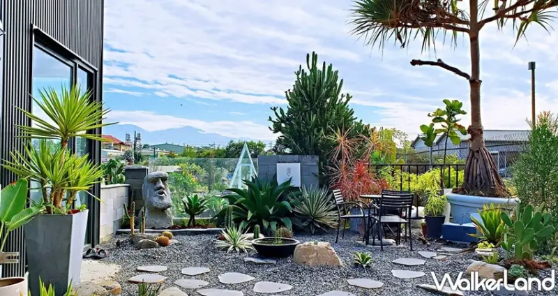 肉肉栽培研究所。多肉植物生態園區 / WalkerLand窩客島整理提供 未經許可，不得轉載