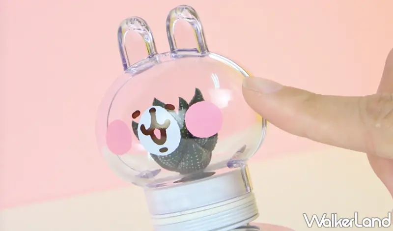 卡娜赫拉的小動物  / WalkerLand窩客島提供 未經許可，不得轉載