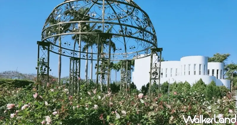 台北玫瑰展 / WalkerLand窩客島整理提供 未經許可不可轉載