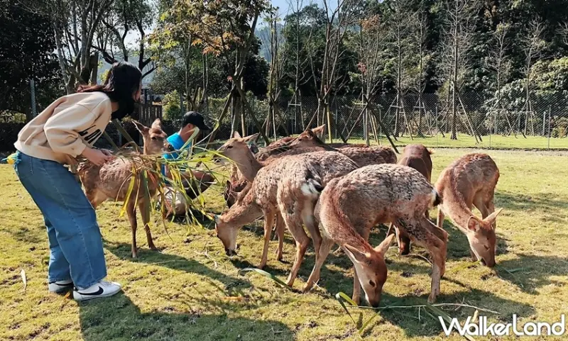 宜蘭綠舞國際觀光飯店