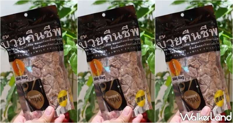 MagMag還魂梅 / WalkerLand窩客島提供 未經許可，不得轉載