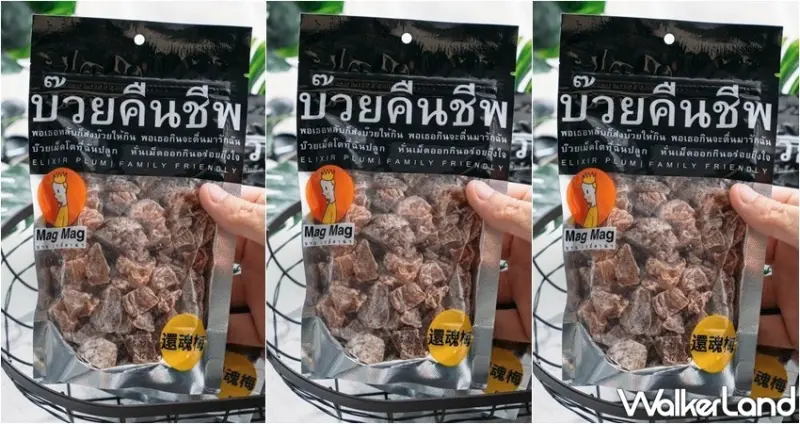 MagMag還魂梅 / WalkerLand窩客島提供 未經許可，不得轉載